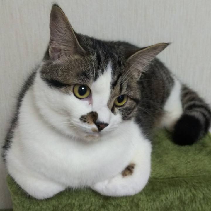 3ef16e8c 6641 492f ad9b 604de0f5405e 1621336410741