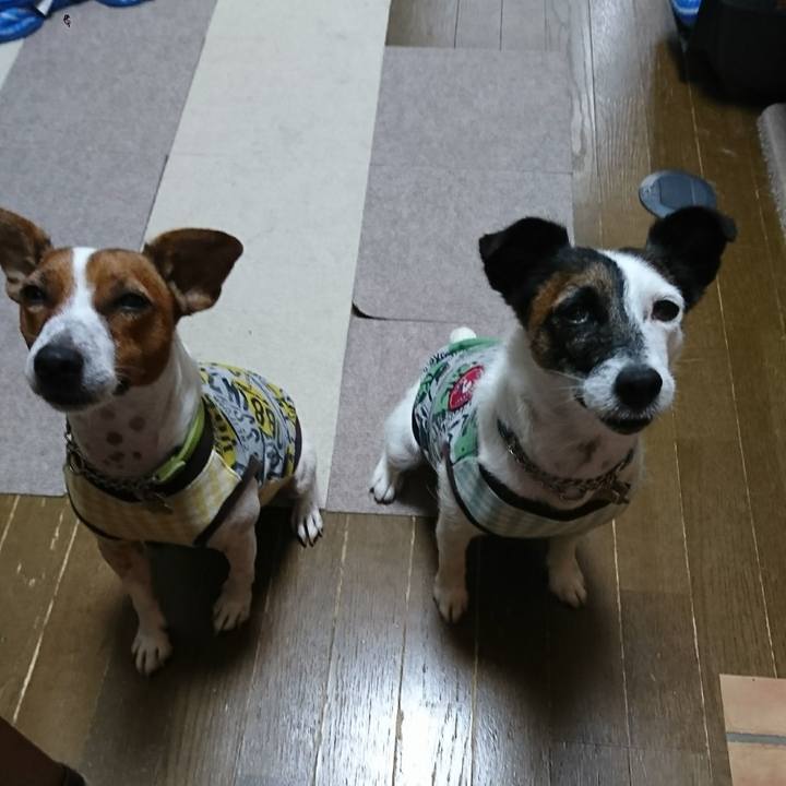 3ef179ef 8623 492d 9749 f899ff0edc72 1595713131882