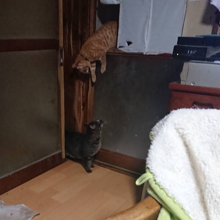 3ef191cf b52b 45dd 9065 0bdfda104837 1637878807910