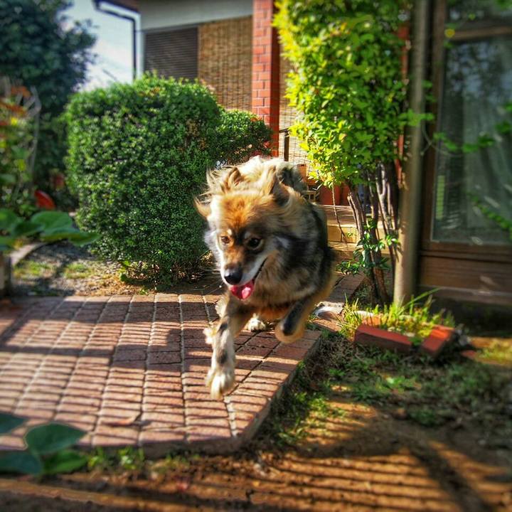 3ef1b7b1 601e 40d8 9e81 eaa951f369ba 1547166540446