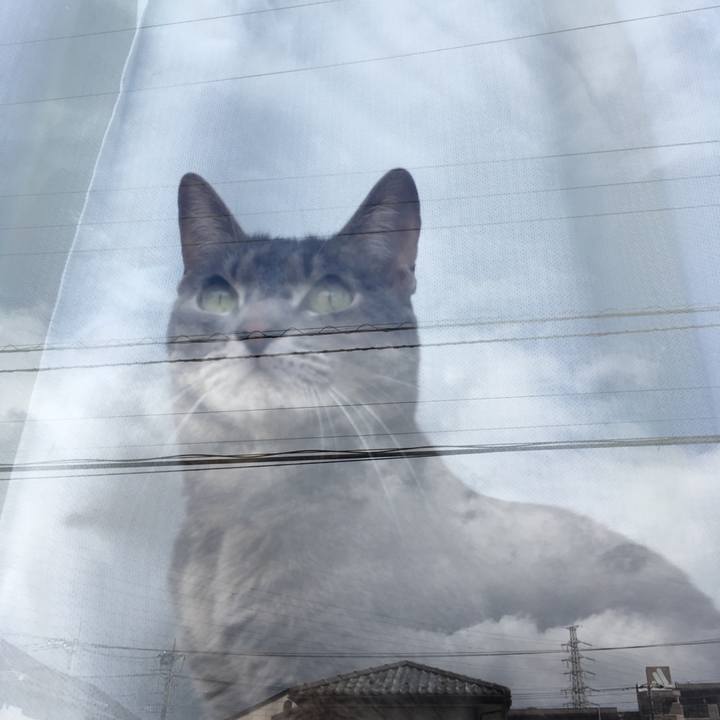 3ef1c643 534a 4b11 a6a5 efc2b6a2b7ec 1523755456398