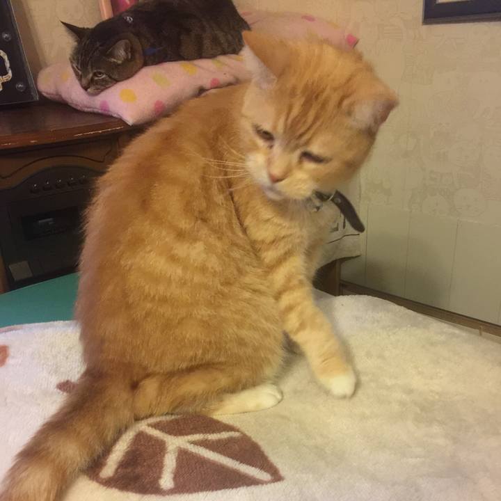 3ef2108c 563d 4caf a870 29ae6e9e2853 1553159196999