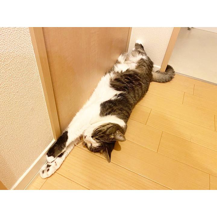 3ef228c6 7eab 4417 93cc 29a7b7facda5 1656942061878