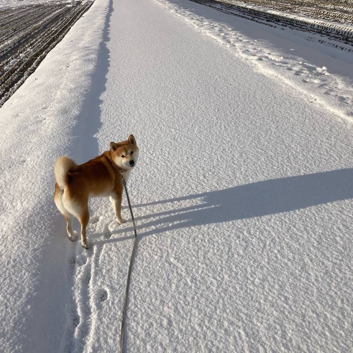 3ef238c1 5e78 4e4f 8b3b 58d210bc14fd 1673308043199