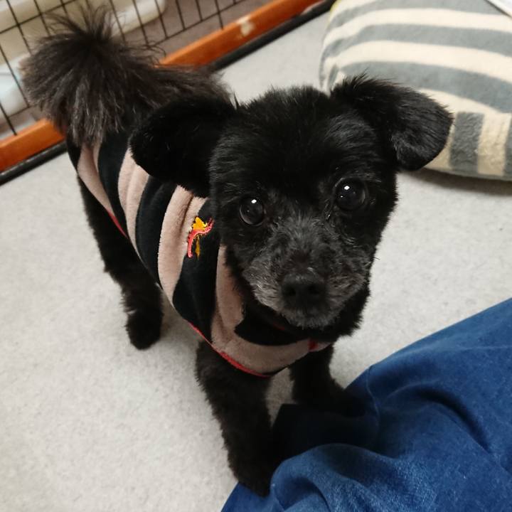 3ef254d1 6cba 405c 8295 686469c36177 1518255743466