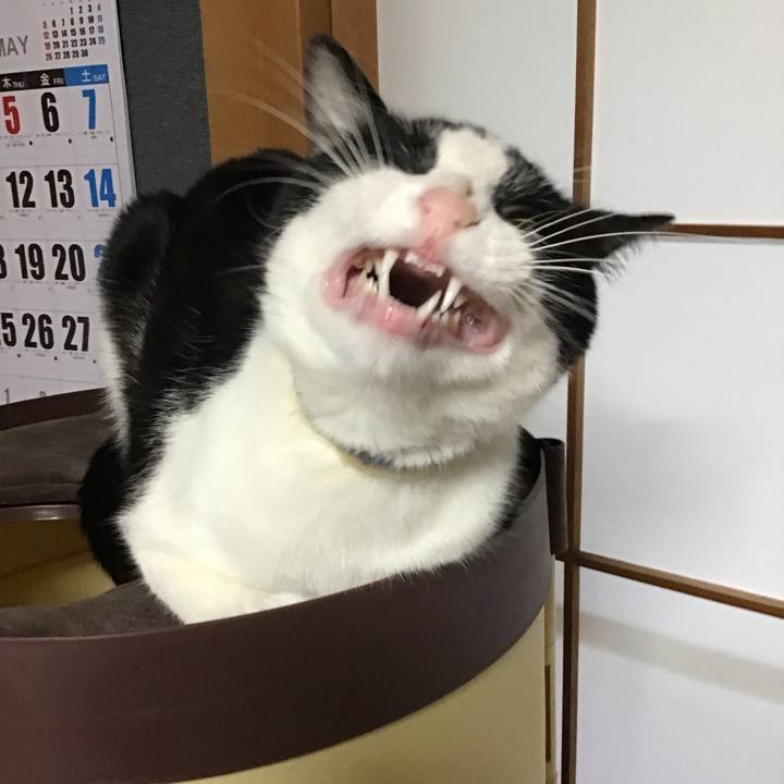 3ef26eae a6cc 4f39 9a78 15daaadcf645 1652084773279