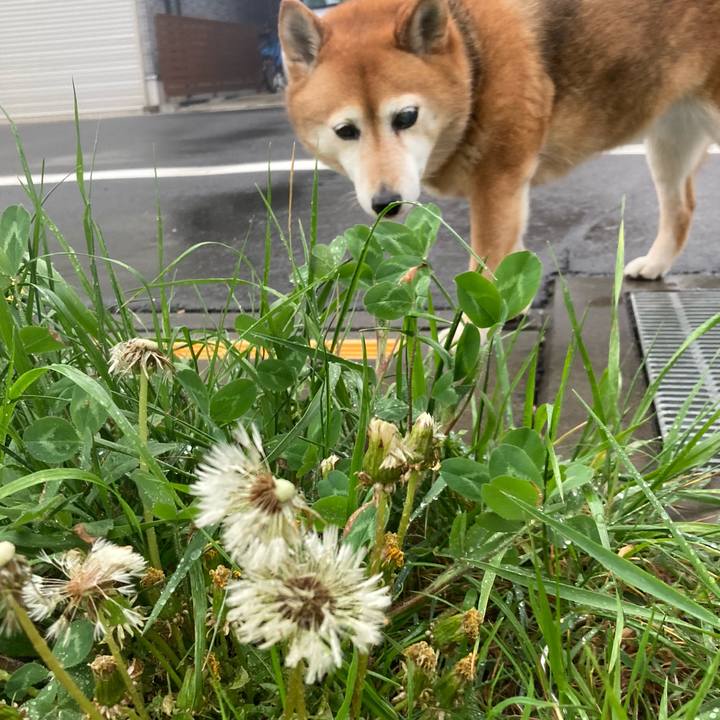 3ef2f5f2 9ea9 407b a79f 6fdc89c3aed9 1649923637168