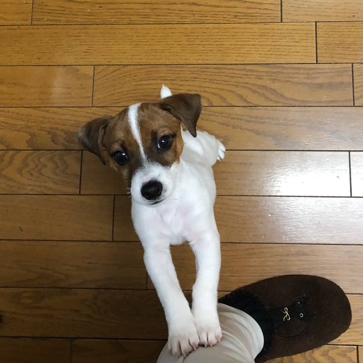 3ef3dc1b 68ef 4b7e acf4 dc627e5c87d3 1511743032211