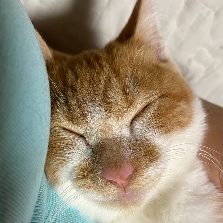 3ef3fc82 1e4e 4ba0 b487 59fd708c1fbc 1664745782421