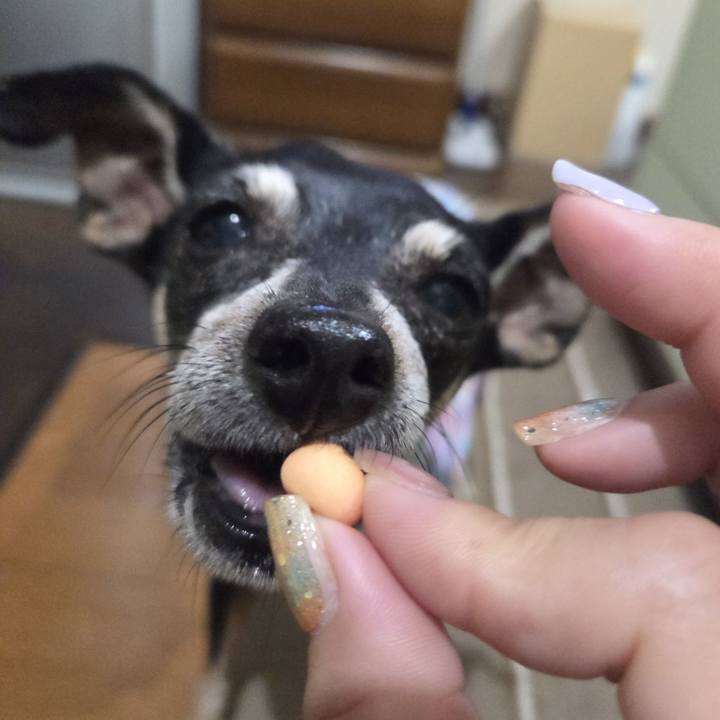 3ef4014a 8b26 448e 9e2c dc606f8210d7 1758656386982