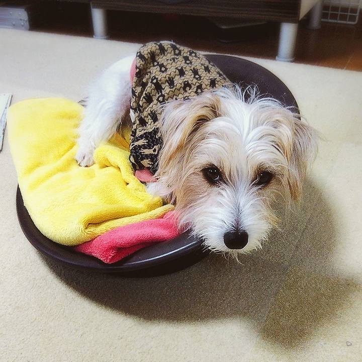 3ef4063e 5965 4ec8 8a57 5804a704853b 1575155646314