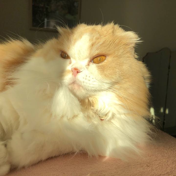 3ef42998 7999 4018 9c34 7f9129737af3 1613775353524