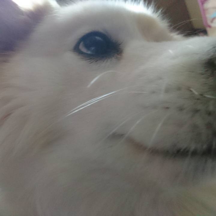 3ef42c01 dc22 4516 b9c9 b9ae4a7716a6 1525815432585