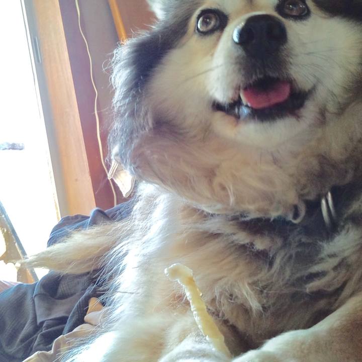 3ef4e7b2 5b72 4506 9744 08fb08e65e5d 1596410339996