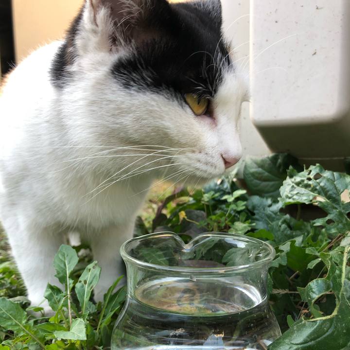 3ef4f0a7 b7dd 4fd2 8c8c ea7b287fb459 1604792953934