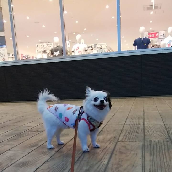 3ef4f211 ef08 4196 9312 871875fa25f4 1530706274995