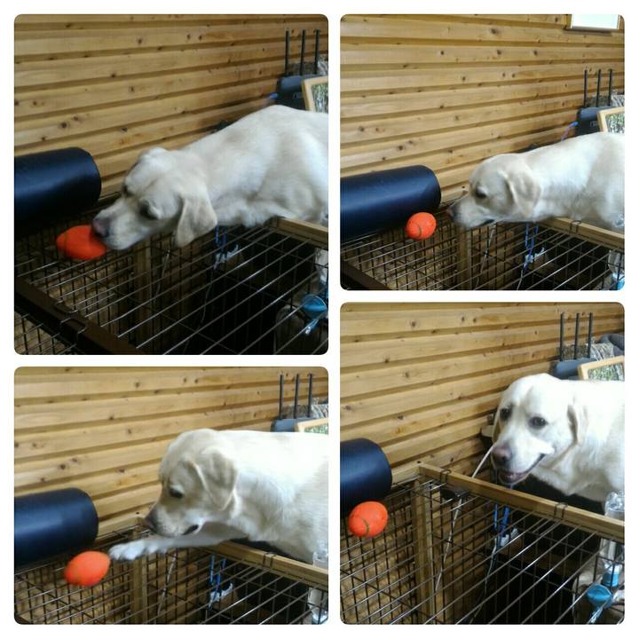 3ef512b5 872a 44dd a23b 496274376781 1509807362502