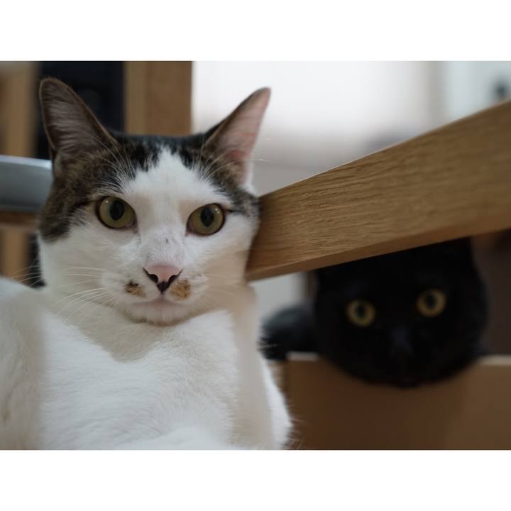 3ef534bf edd4 49b6 9de7 07d43298e121 1558153507176