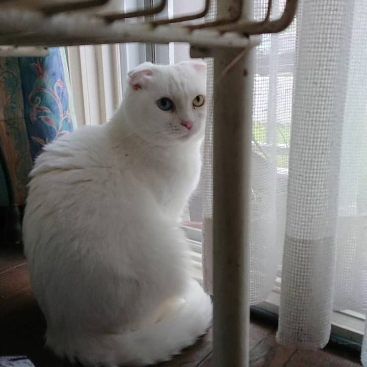 3ef57f97 c24e 4367 b26e 1960e860a229 1564202483561