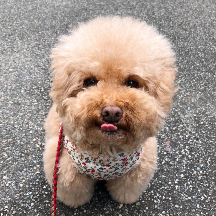 3ef5863f aecf 4c1e 8d40 74898560de19 1508900012152