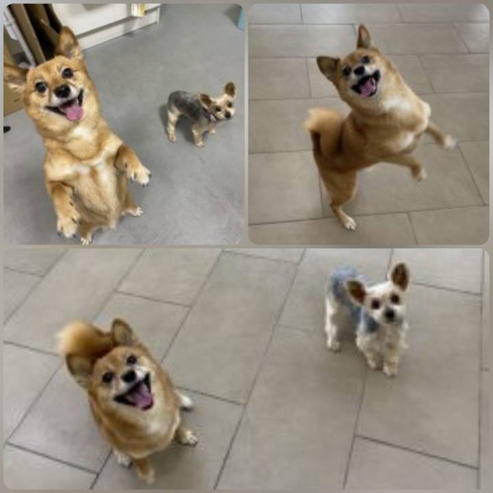 3ef58b89 436a 46ed b1c4 89271e69e0d2 1602139382855