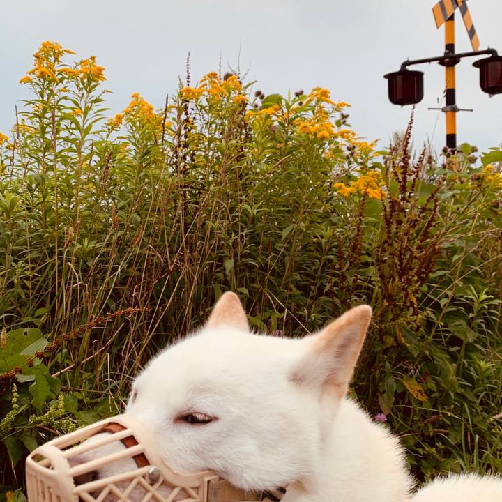 3ef58d89 a626 467b b0c5 642b8d337734 1565473218977