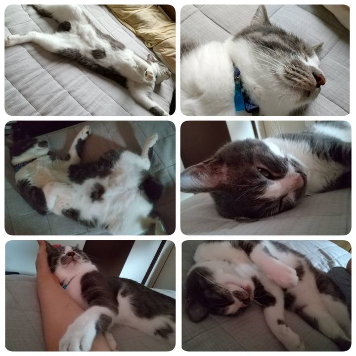 3ef59aed 7dc2 4a60 9b20 1628db82071d 1600395113467