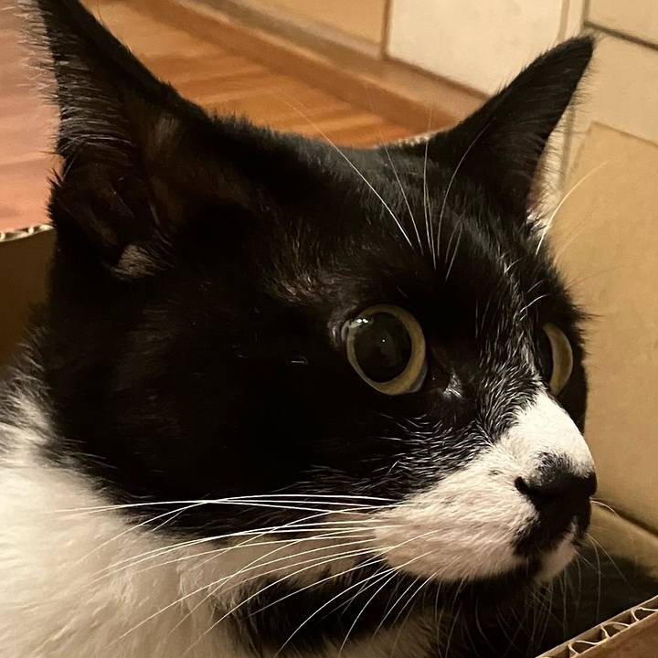 3ef5adb8 0f66 45f1 84fb 0ffda24ce612 1697374757381