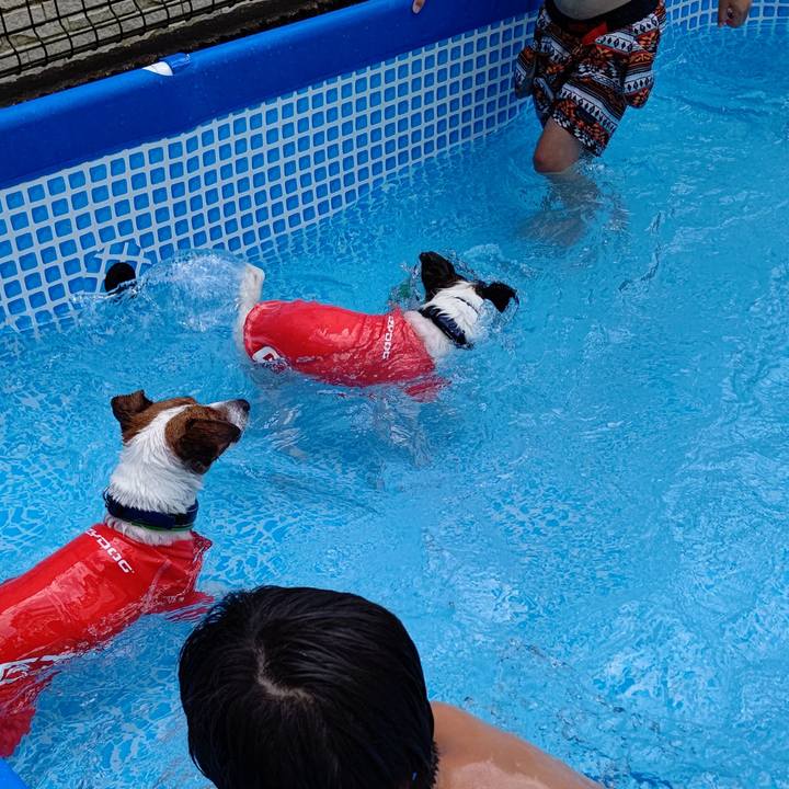 3ef5c3c3 a2a2 4dc5 b6f6 9ad4544b7a8a 1658652990058