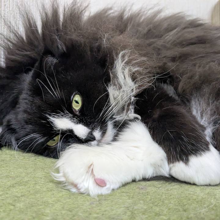 3ef5fd39 f640 4e32 983e ef7c2d6c3b60 1767101852511