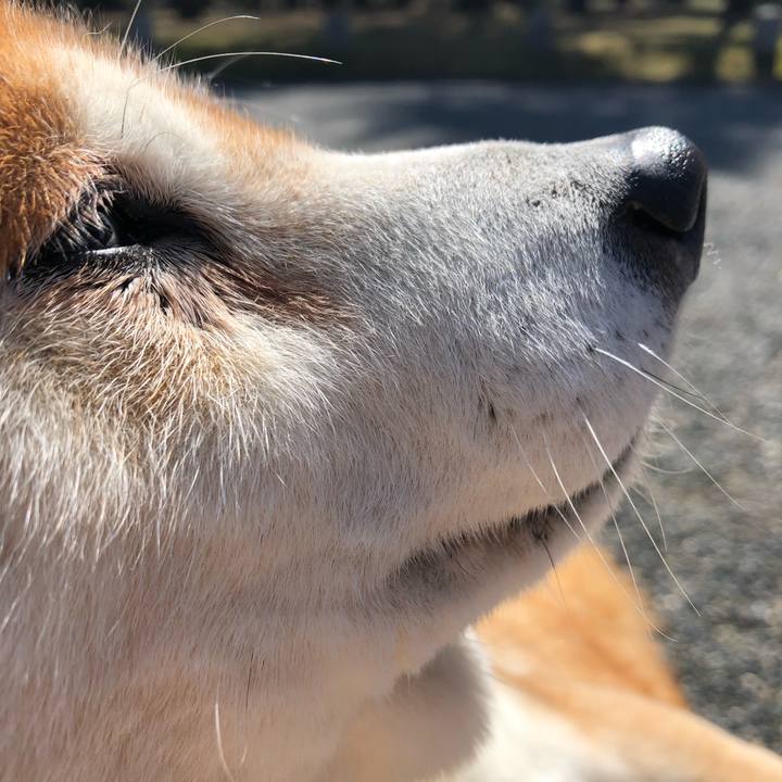 3ef60196 c524 46d9 9c48 3d1c24d3c2cd 1552361610735