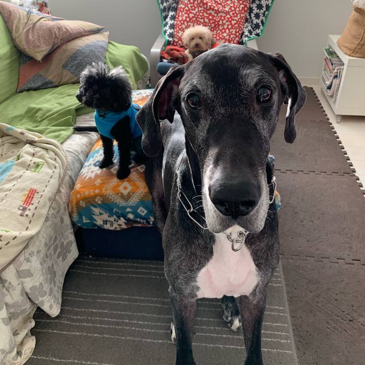 3ef60eaf 6681 4e18 9581 8be3d2396ebc 1574116885579