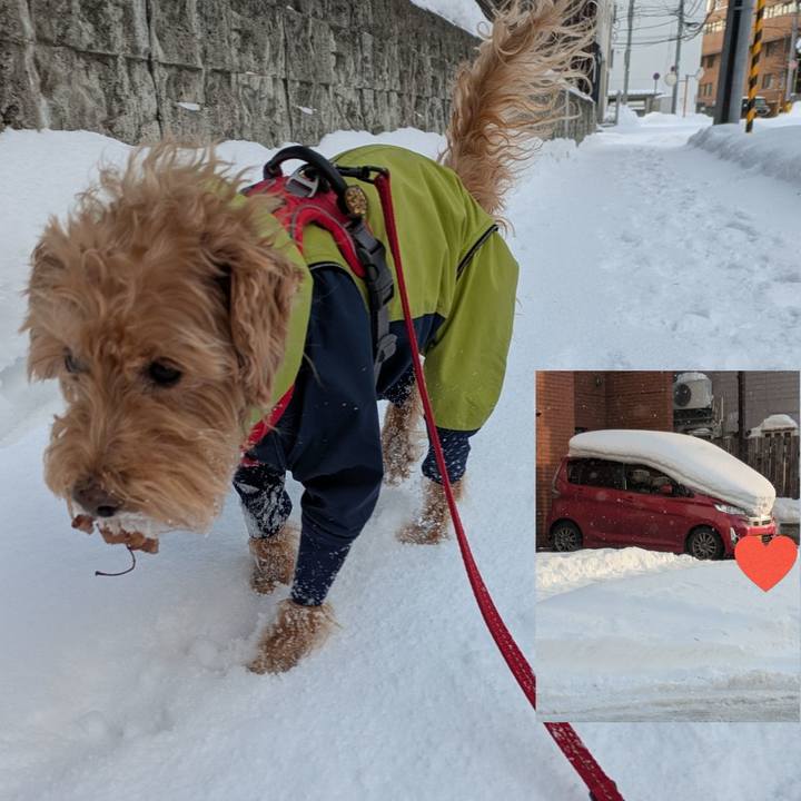 3ef61eaa 1efe 43a3 94e9 8fee73a521cf 1739070533098