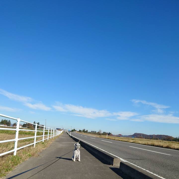 3ef63a95 4f14 4492 b2fd 4486e33d01b9 1763257524026