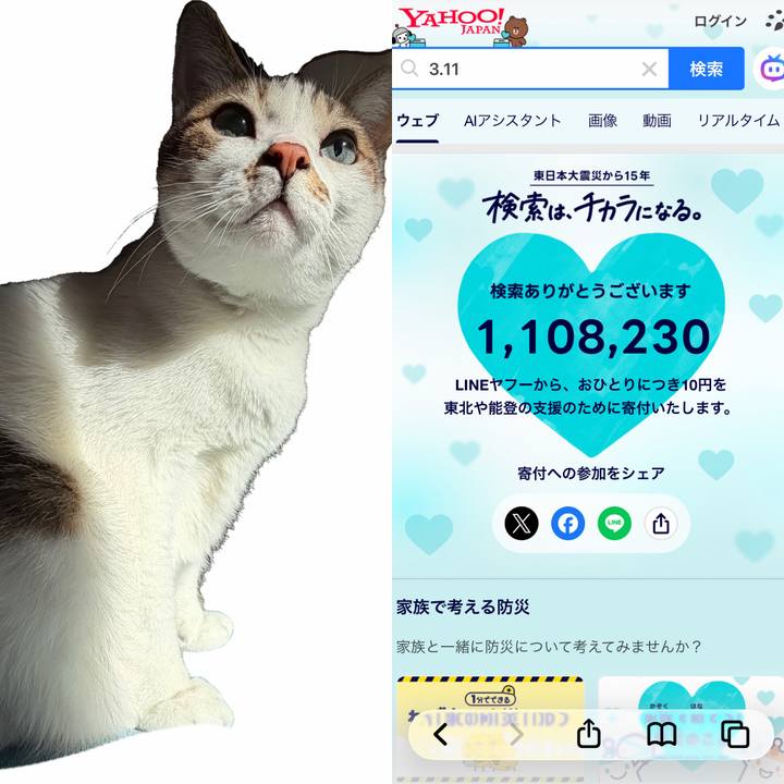 3ef68495 9a7c 4d82 8c24 06b3baec0d6e 1773182171989