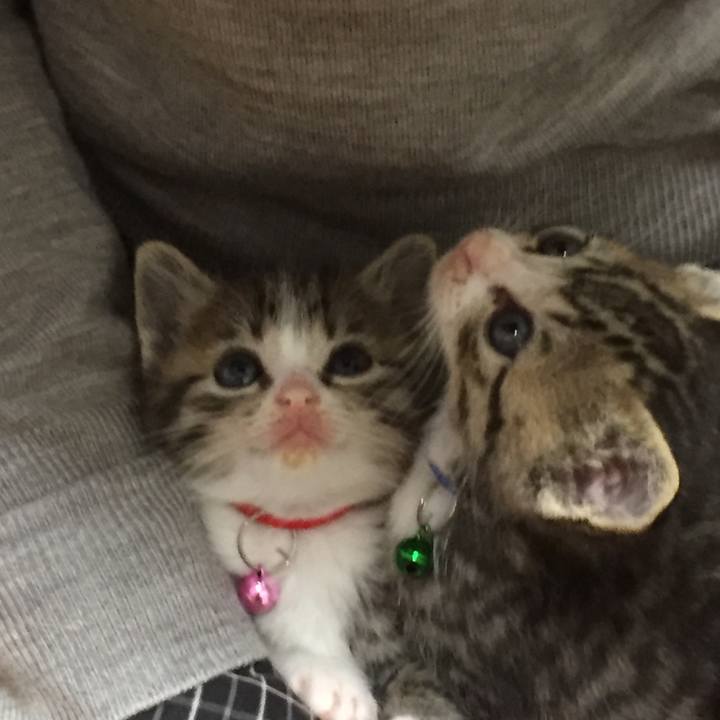 3ef6b0ab 43ab 4f6c 990a d1e75503e1f7 1651425685021