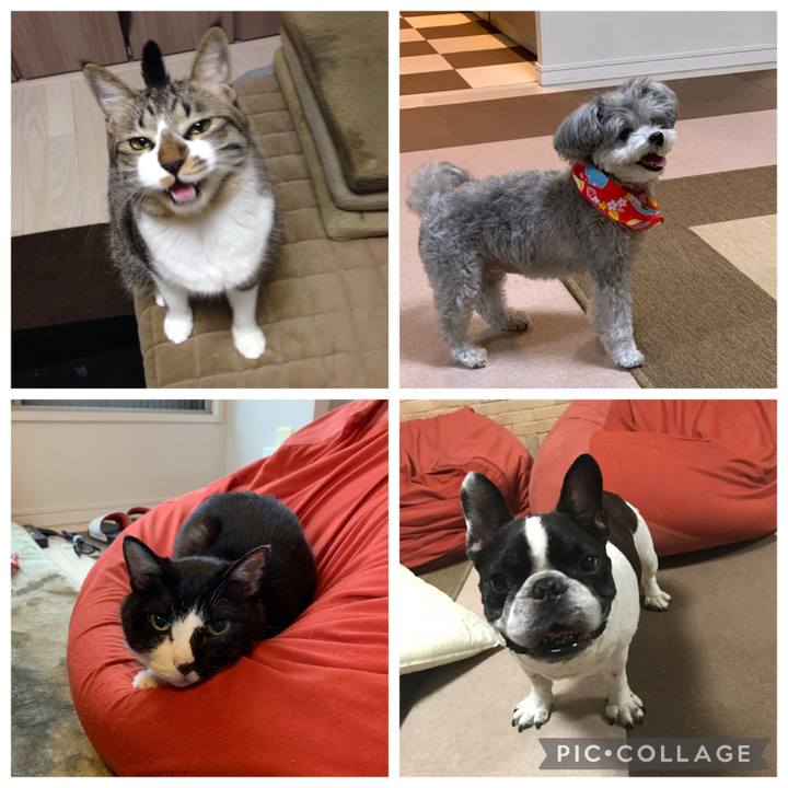 3ef6f16c dc23 4bff 8670 8e1388fd3187 1621409927777