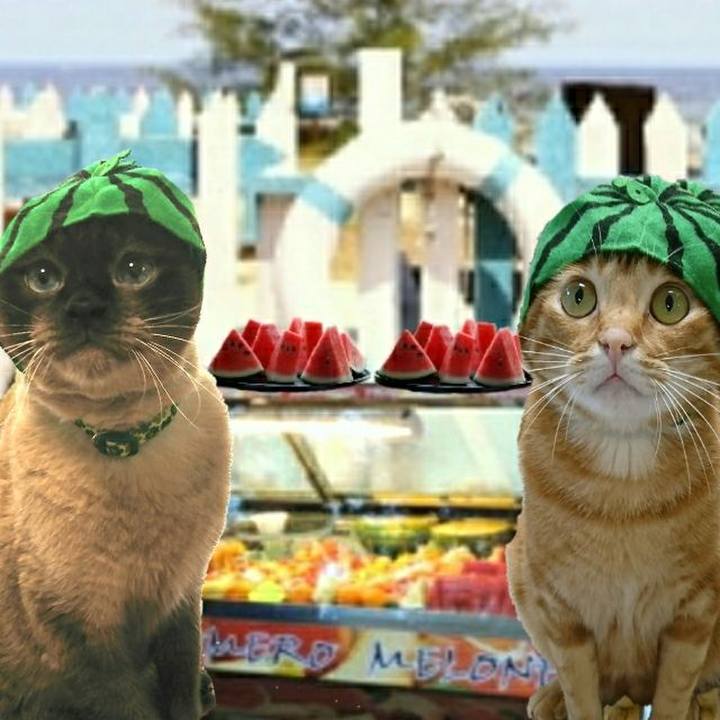 3ef70fbe b9cb 4d76 afca fe98df9b5e3b 1558752091221