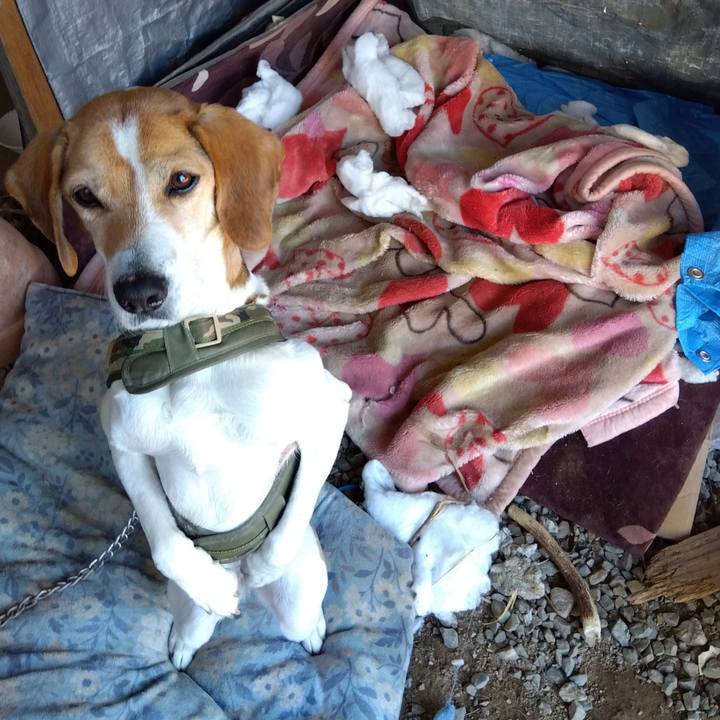 3ef7197c 5c28 4f11 b459 55b127884fec 1676869634512