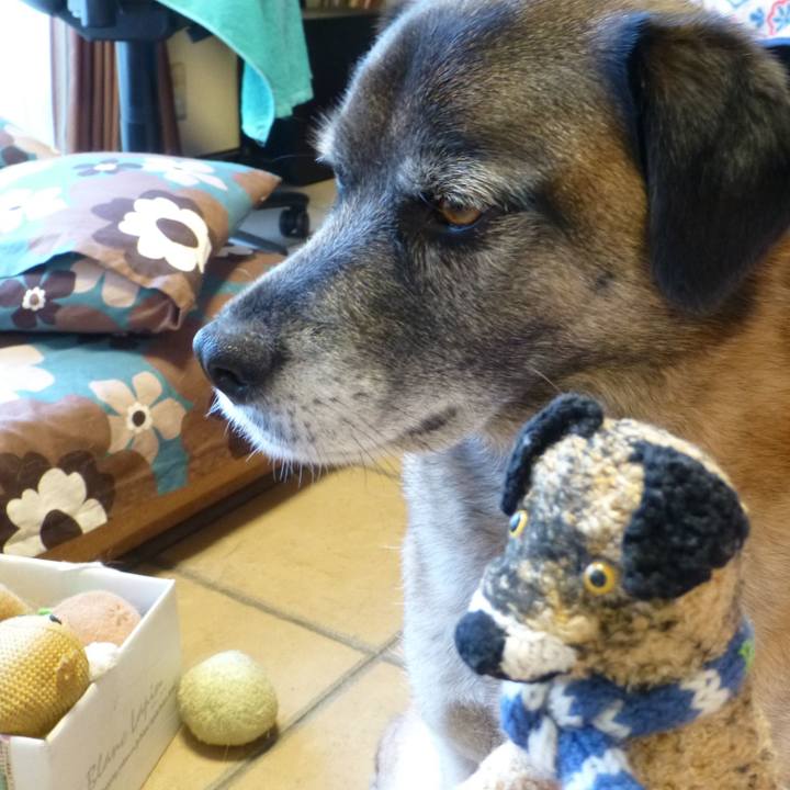 3ef72ace 2332 4d02 8747 f3d5014d71ab 1581686173406