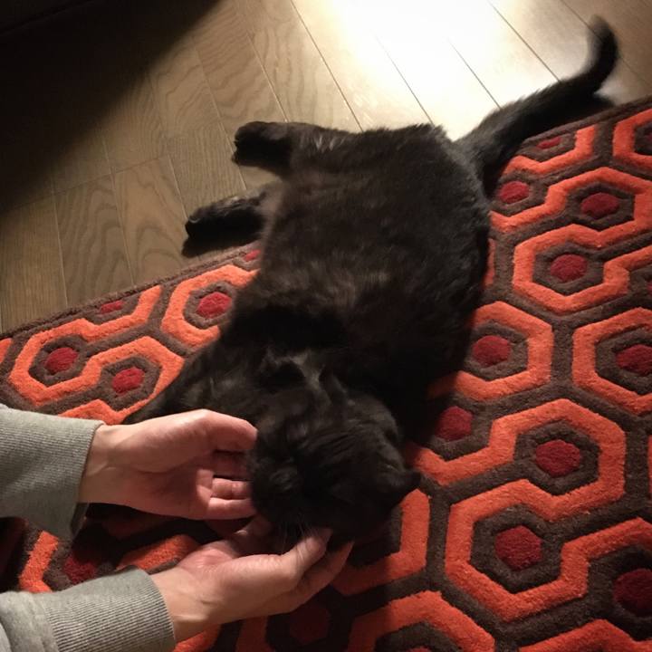 3ef7784a c154 4e05 9de8 df790598e30f 1548402279107