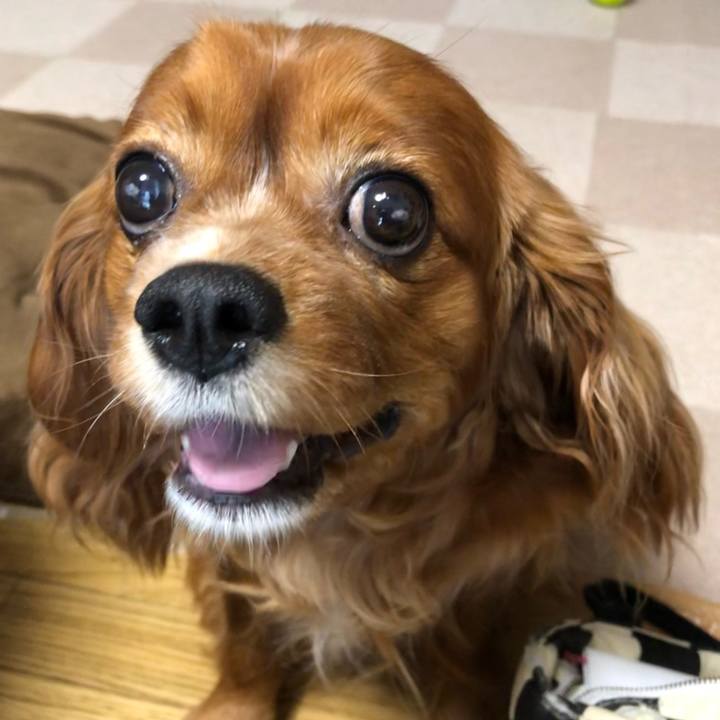 3ef7838b 661d 4f50 847b 4e2c36cec011 1621895341782