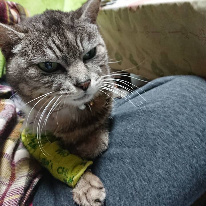 3ef786a4 4718 48f5 8552 0906628d0d66 1586549608887