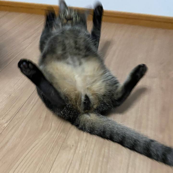 3ef7a1e7 e161 41bc 97c7 6c1d76fae217 1628685315441