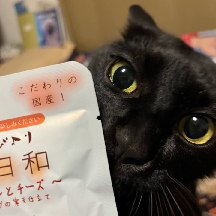 3ef7cd73 2f77 4974 ade4 859bc64f0533 1682639959150