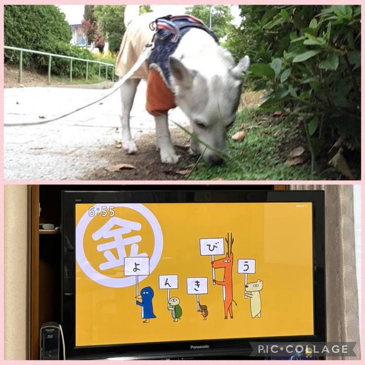 3ef7deca 0c24 4519 a59d 3d687836341f 1761861477230