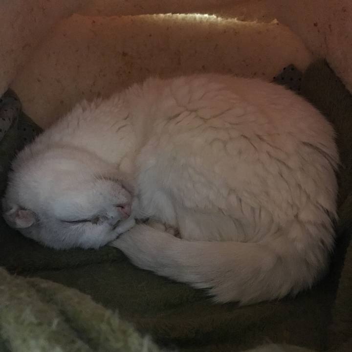 3ef7ecf1 45e2 4759 8b26 c2e921261169 1524746297795