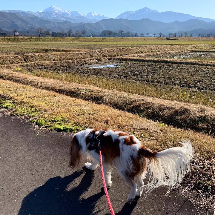 3ef7f693 b4b2 406f 84d5 55a86ba1ef34 1576466145661