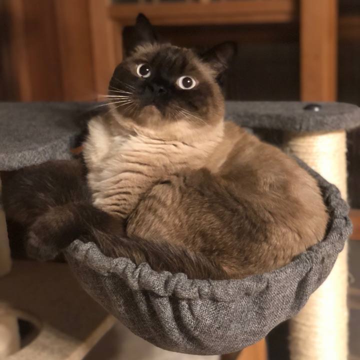 3ef813b8 b21d 43c8 9ebf fb36732438e4 1625875979138