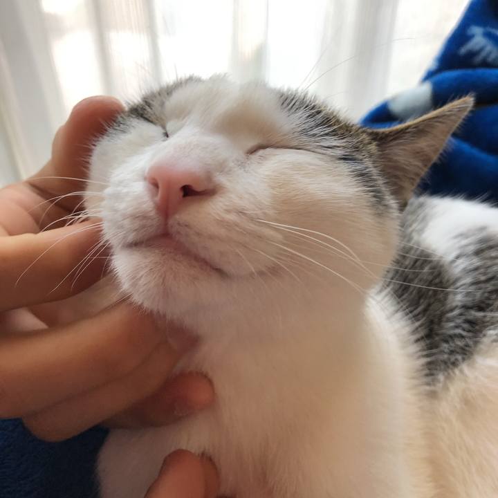 3ef814aa de8c 4885 a3ca 81010c0b6cd8 1582500408447